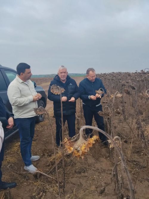 Алмаз Хисаметдинов Арча районының авыл хуҗалыгы предприятиеләре эшчәнлеге белән танышты