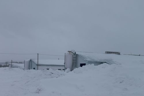 Арчага Калуга өлкәсеннән кунаклар килде