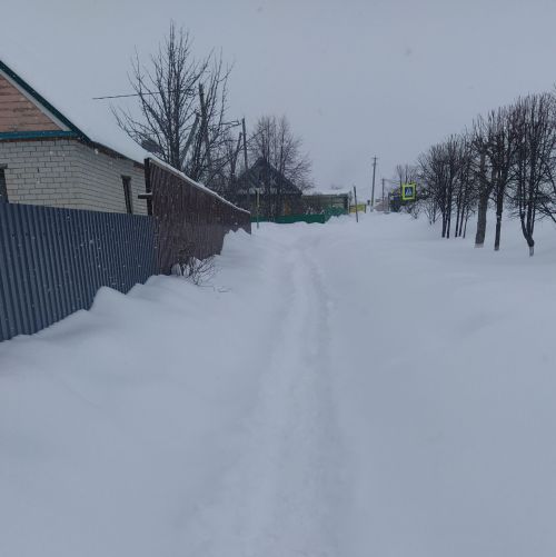 Карны кем көри?