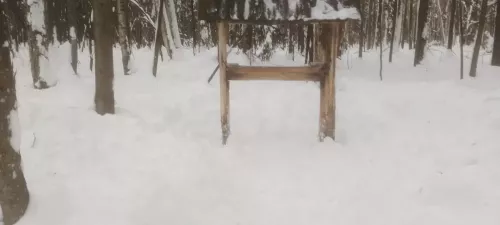 Кыш – алар өчен авыр чор