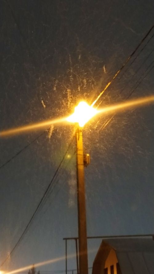 Дүшәмбе көн тагын буран, диләр