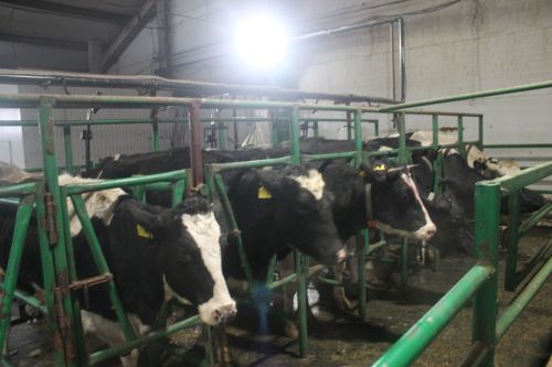 «Ак барс»лар алда