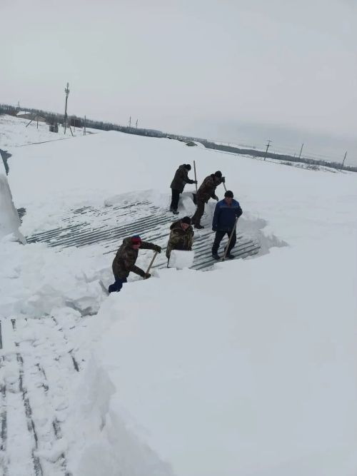 Яз кары белән тик тотмый, эшле итә