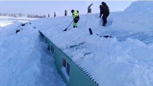 Яз кары белән тик тотмый, эшле итә