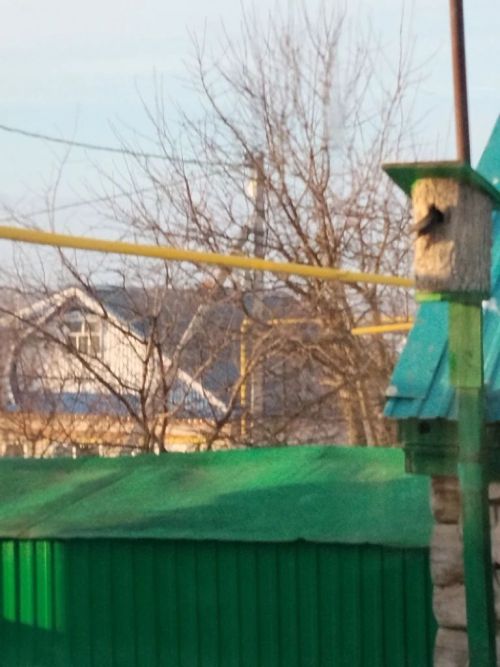 Сыерчыклар килгән безгә