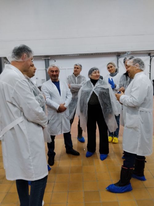 Наласада яңа ферма