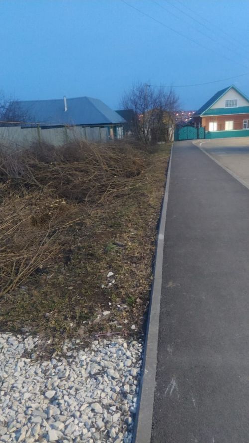 Герой үскән урамны матурлыйлар