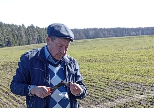 Басулар ни хәлдә
