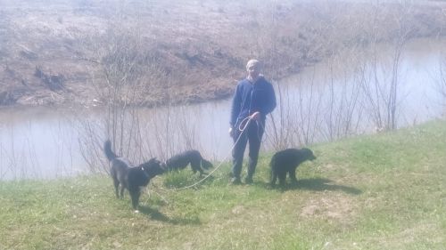 Алар уңай энергетика бирә