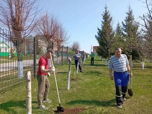 Киләчәк буыннарга яшел мирас: Арчада «Хәтер бакчасы» акциясе узды