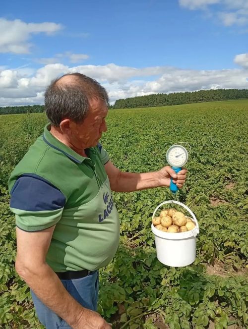 Агроном сүзе: «Кырлай» һәм «Игенче»дә игеннәр әйбәт үсә
