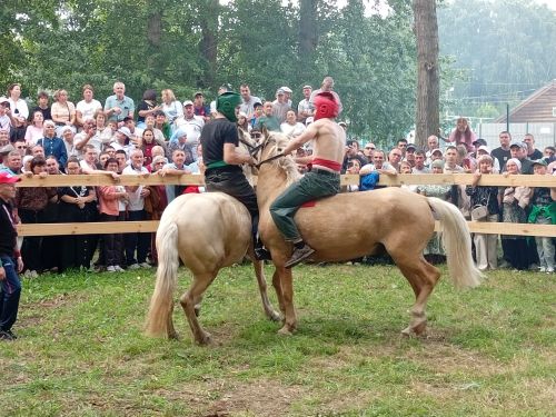 «Аударыш» та ат өстендә ике җайдак көрәшә