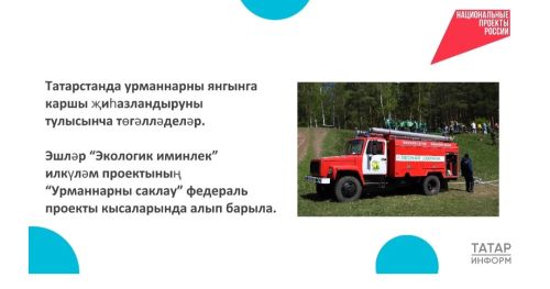Татарстанда урманнарны янгынга каршы төзекләндерү төгәлләнде