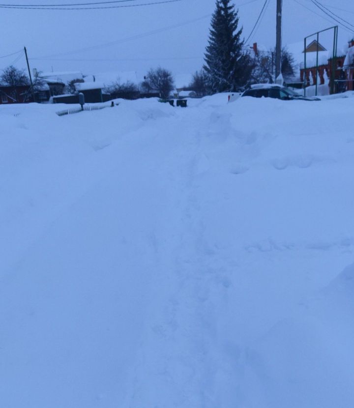 Бер-беребезгә ярдәм итик!