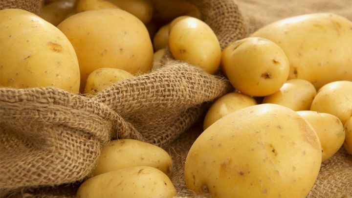 В Татарстане завершена уборка картофеля