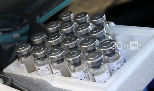 Вирусолог: Опасность Covid-19 в тысячи раз выше рисков, связанных с вакциной