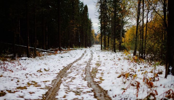 В Татарстане ожидаются дожди, мокрый снег и сильный ветер