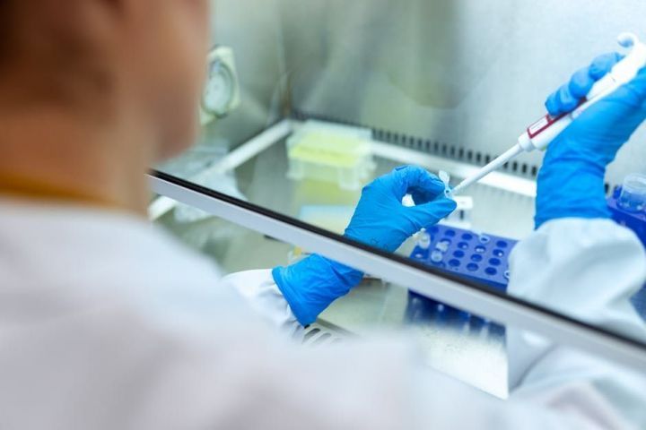 В России ученые создали высокоточный тест для диагностики коронавируса