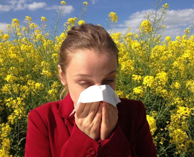 Аллергияне салкын тиюдән ничек аерырга?