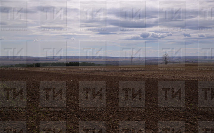Министр сельского хозяйства поручил  Татарстана завершить сев к 5 июня