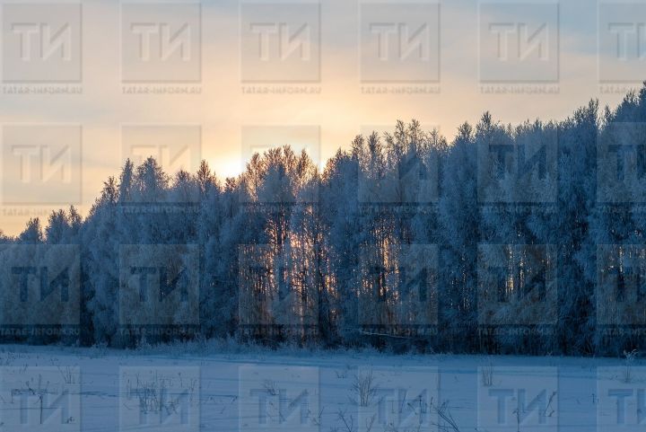 Атна уртасына Татарстанда суытачак