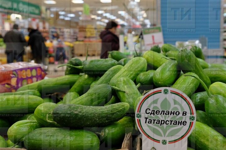 Кыяр бәяләре ни өчен кыйммәтләнгән?