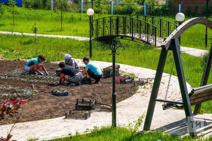 Май аена бакча календаре: кайчан нәрсә утырту отышлы?(»Интертат»)