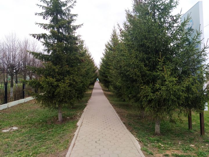 Иртәгә һава торышы нинди була?