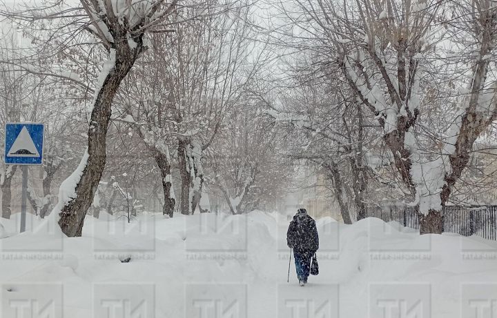 Профессор поделился прогнозом на предстоящую зиму