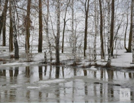 Яз һәм җәйгә фаразлар: су басулар булырмы һәм җәй былтыргысына охшармы?