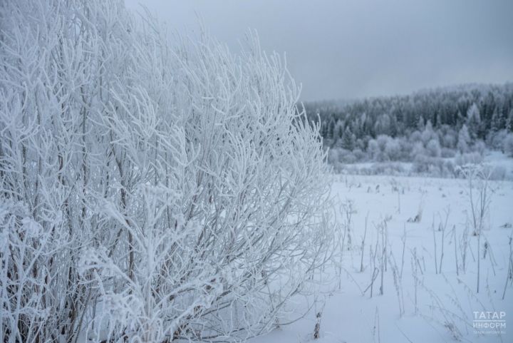 Февральдә нинди һава торышы булачак?