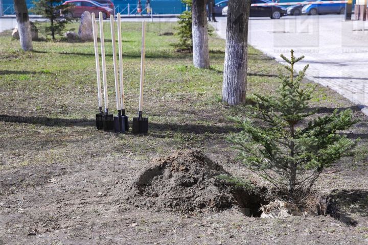 С 1 апреля в Татарстане начнется санитарно-экологический двухмесячник