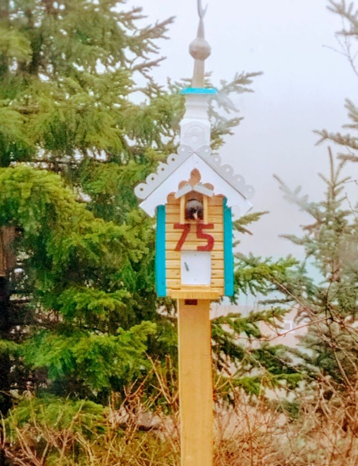 Хезмәттәшебез Ильяс Фәттаховның оныгы да үзенә охшаган: кошлар ярата