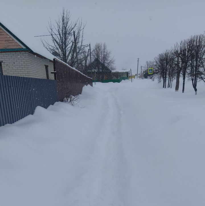 Карны кем көри?