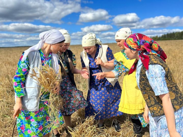 Кайвакыт көрәк белән җир казу уңайрак кебек