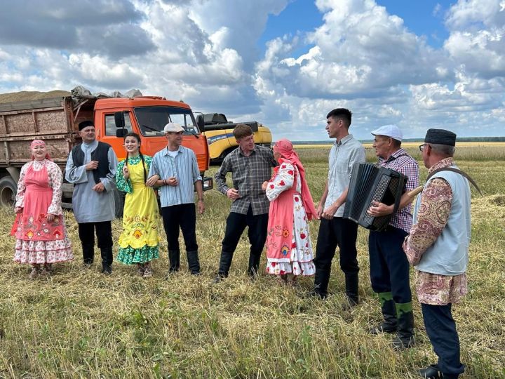 Кайвакыт көрәк белән җир казу уңайрак кебек