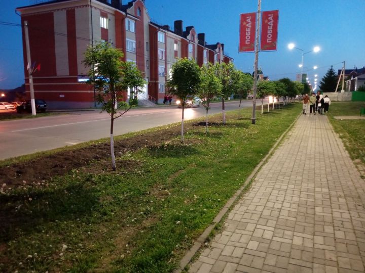 Татарстанда җәяүлеләр катнашындагы юл-транспорт һәлакәтләрен кисәтү чаралары үтәчәк