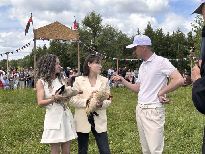 Яңа Кенәр Сабан туенда Арча егете батыр калды