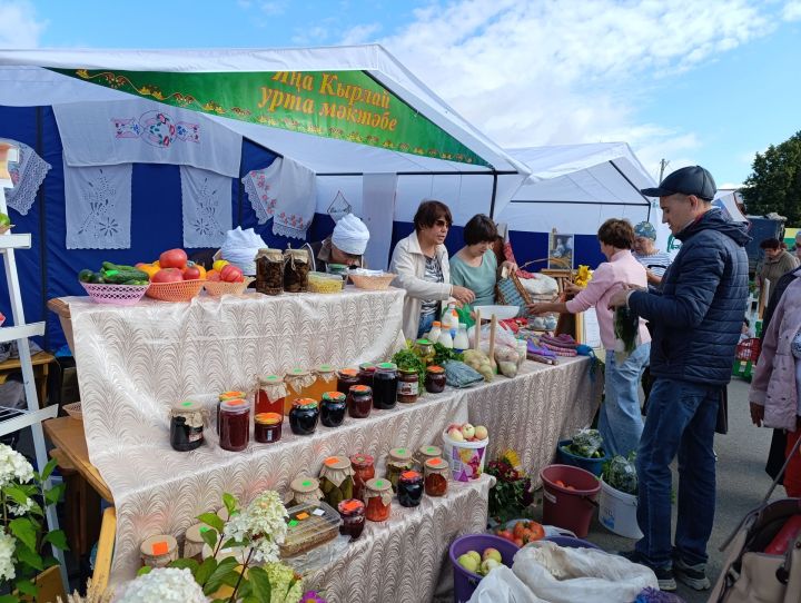 Бармый кала алмадым…