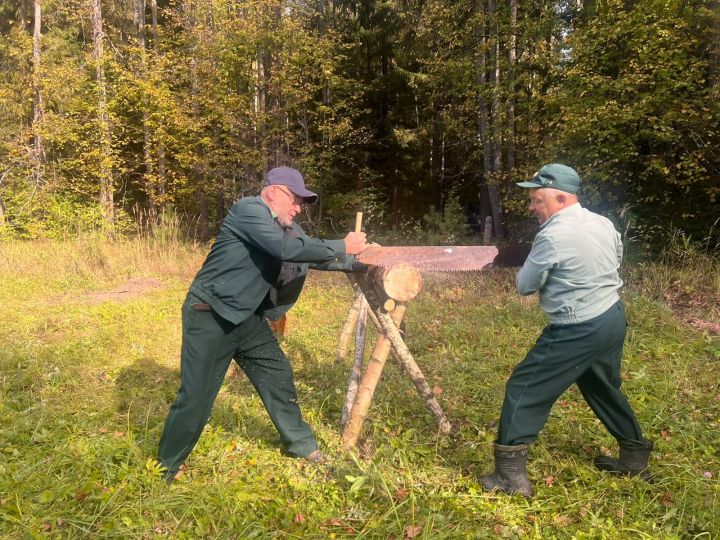 Арча урманчылары осталыкка ярыштылар