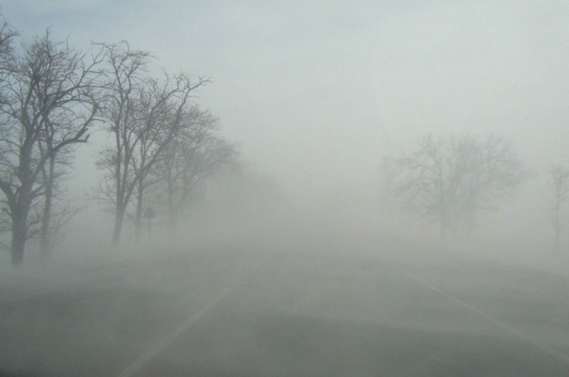 Условиях сильного тумана