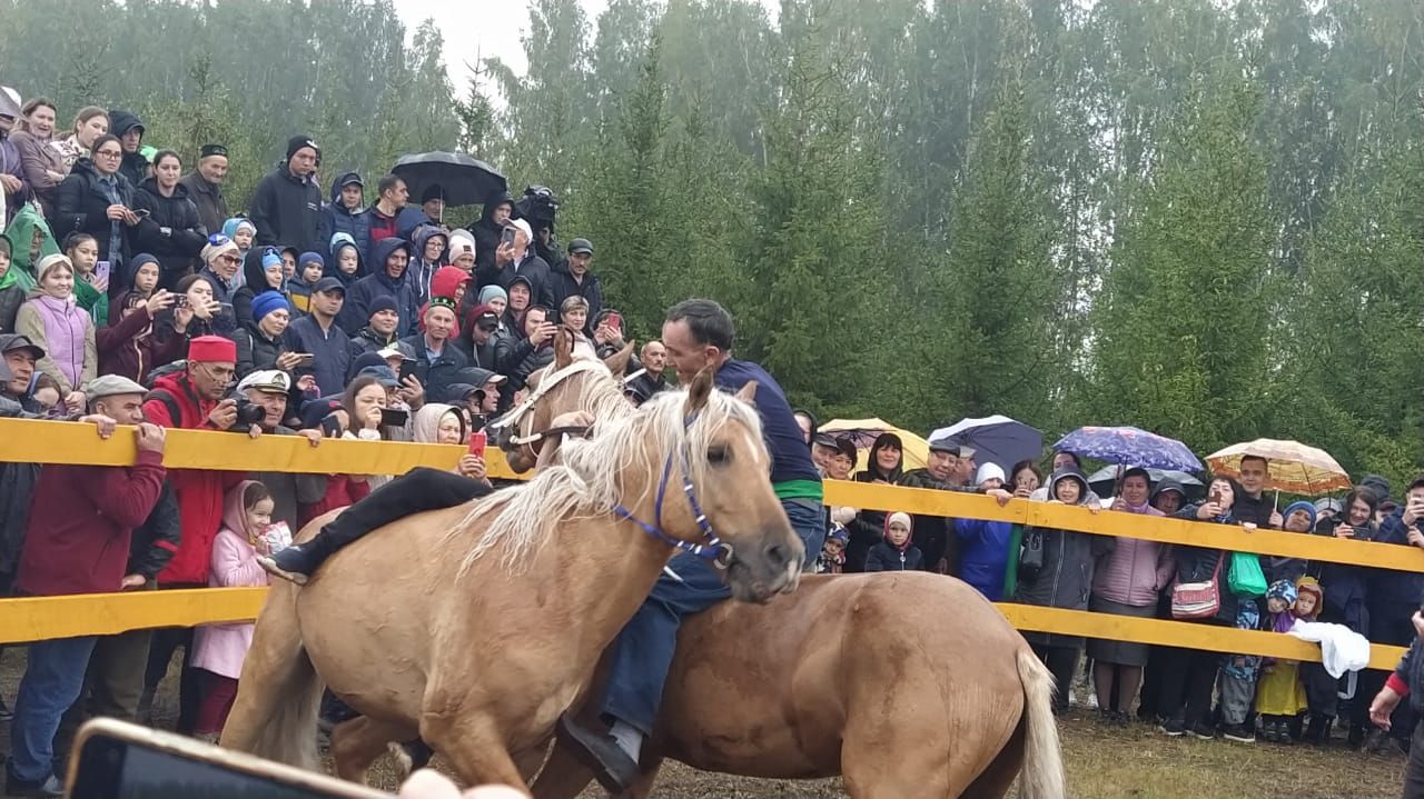 В Новый Кырлай на «День коня» приехали Рустам Минниханов и Айсен Николаев