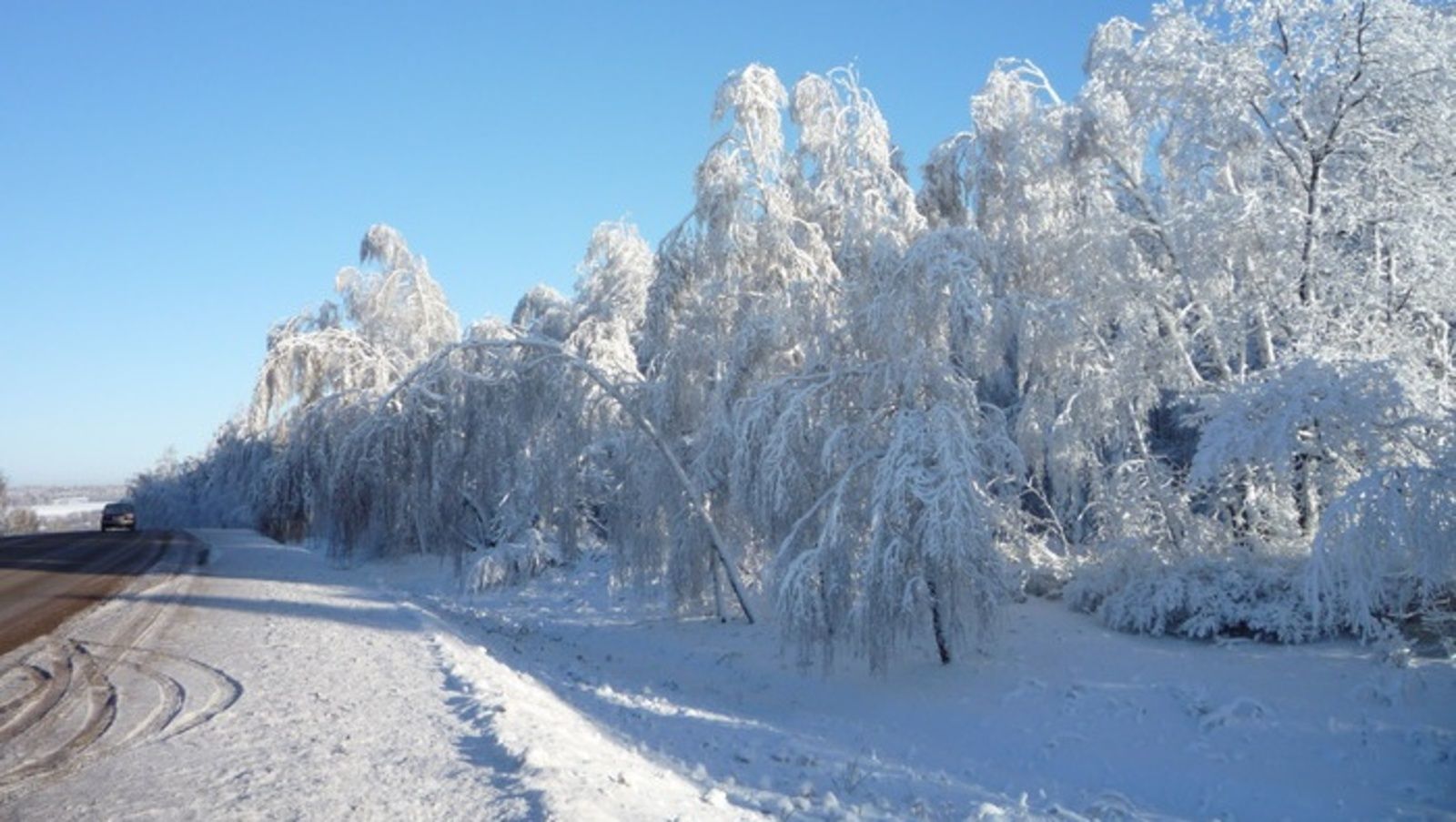 Февраль нинди булыр?