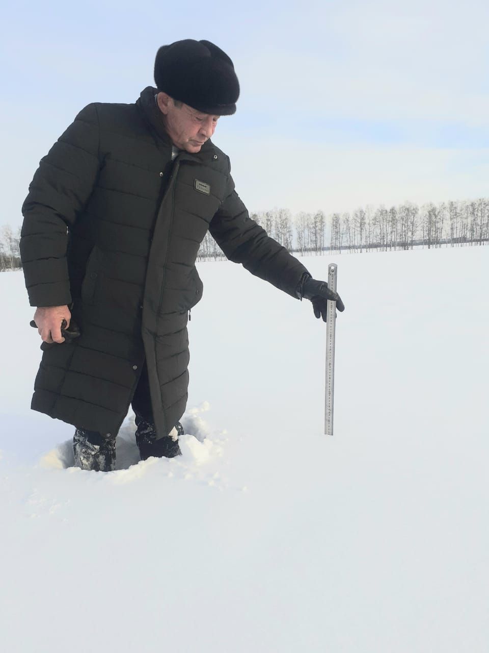 Басуларда ни хәл?