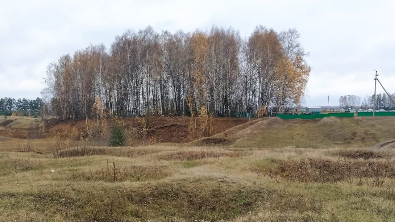 Тыныч йокла брат, Рәсүл... (ВИДЕО)