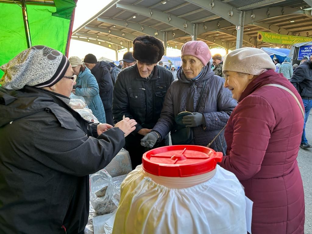 Казан ярминкәсен бүген Смоленск өлкәсе хөкүмәте рәисе урынбасары карады