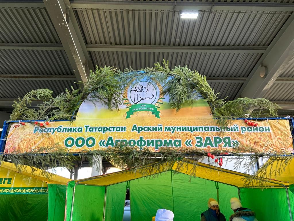 Казан ярминкәсен бүген Смоленск өлкәсе хөкүмәте рәисе урынбасары карады