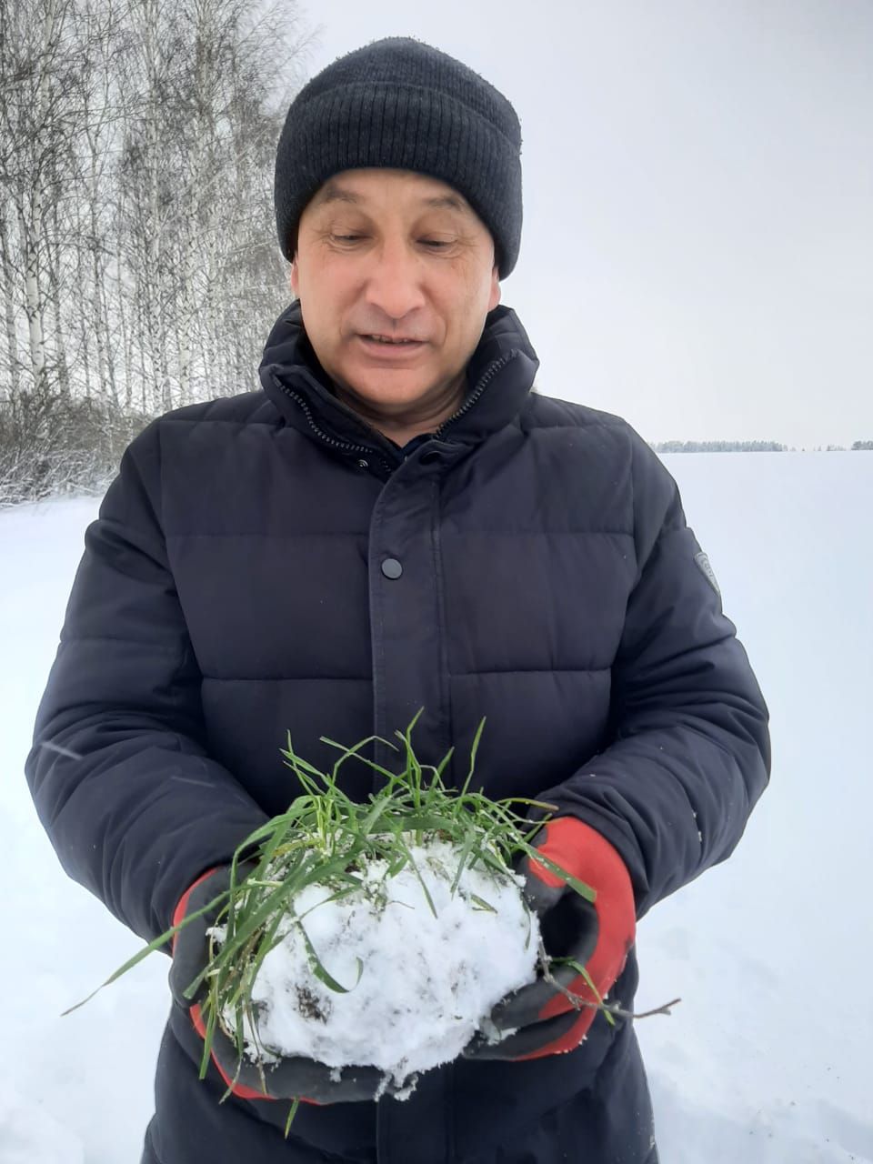Басуларда нихәл