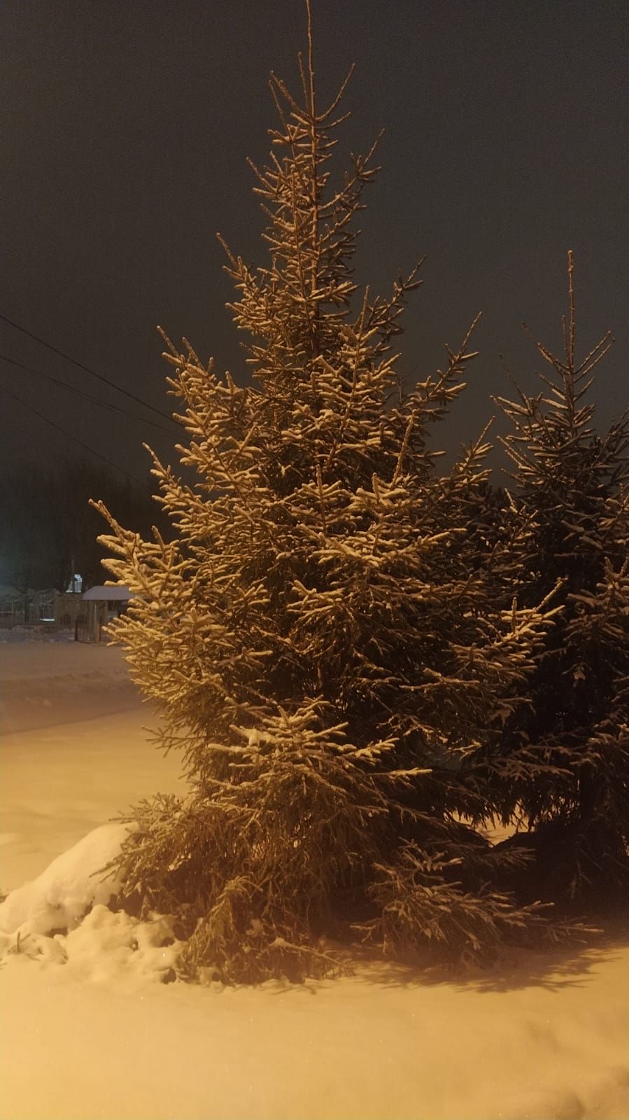 Ничек авыртмыйча яшәргә?