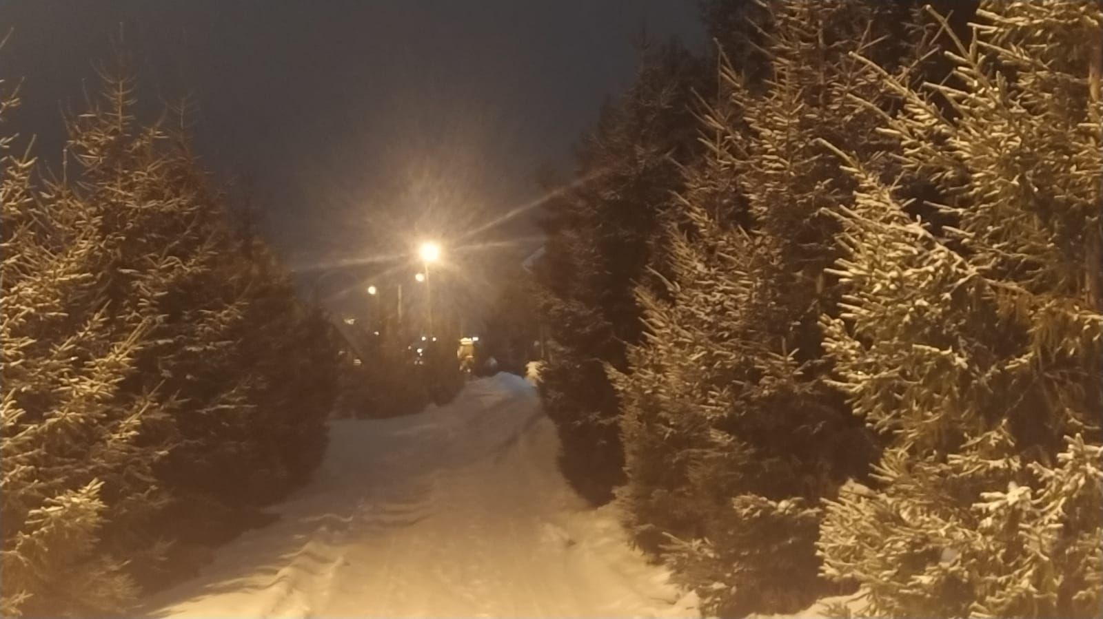 Коронавирус бетмәде. Ул бар